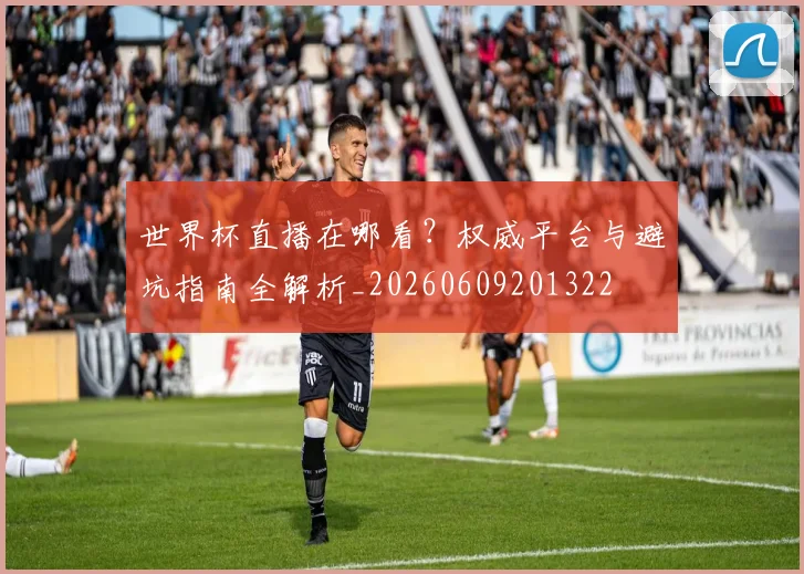 世界杯直播在哪看?权威平台与避坑指南全解析_20260609201322